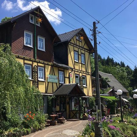 Апартаменты Haus Rennsteigrose Steinheid Экстерьер фото